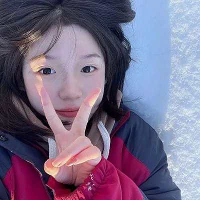 科搜研之女第23季